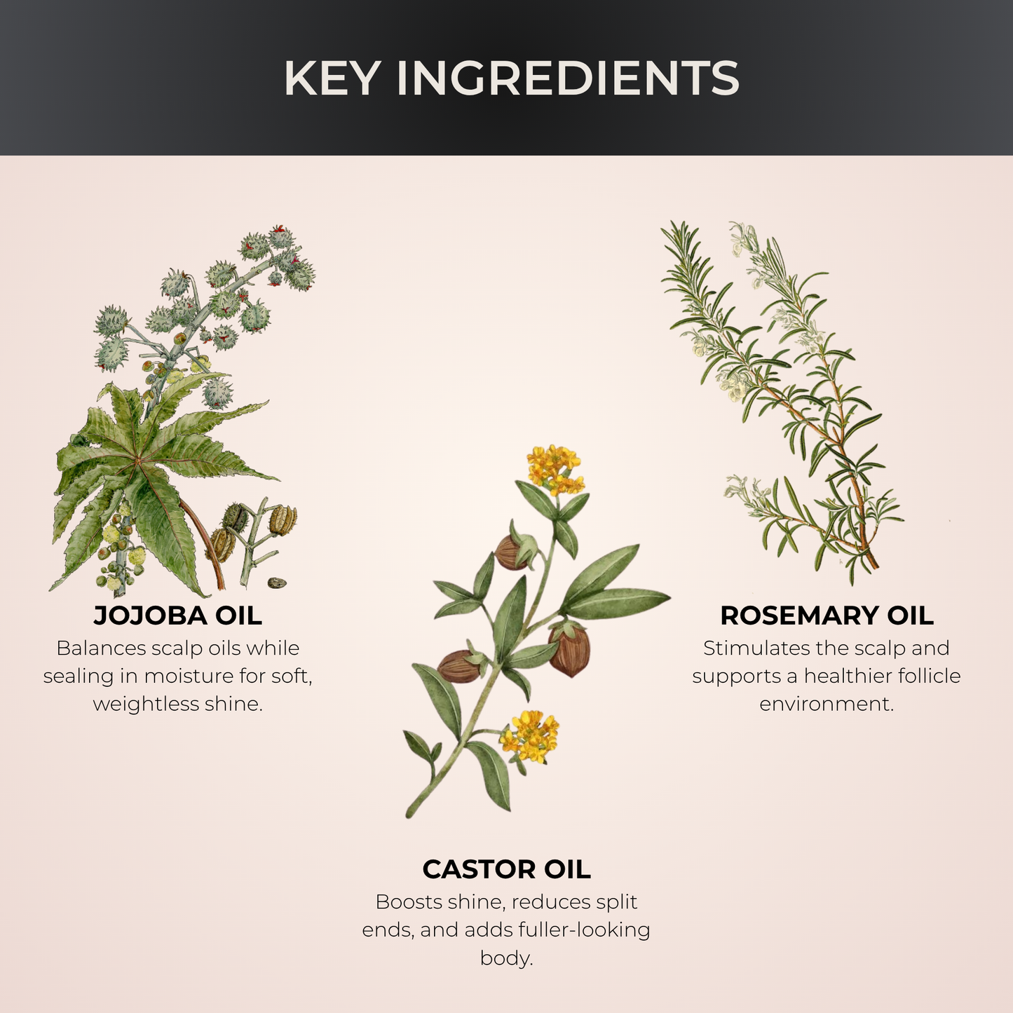 Arketá Naturals Rosemary Hair Oil – 60 mL