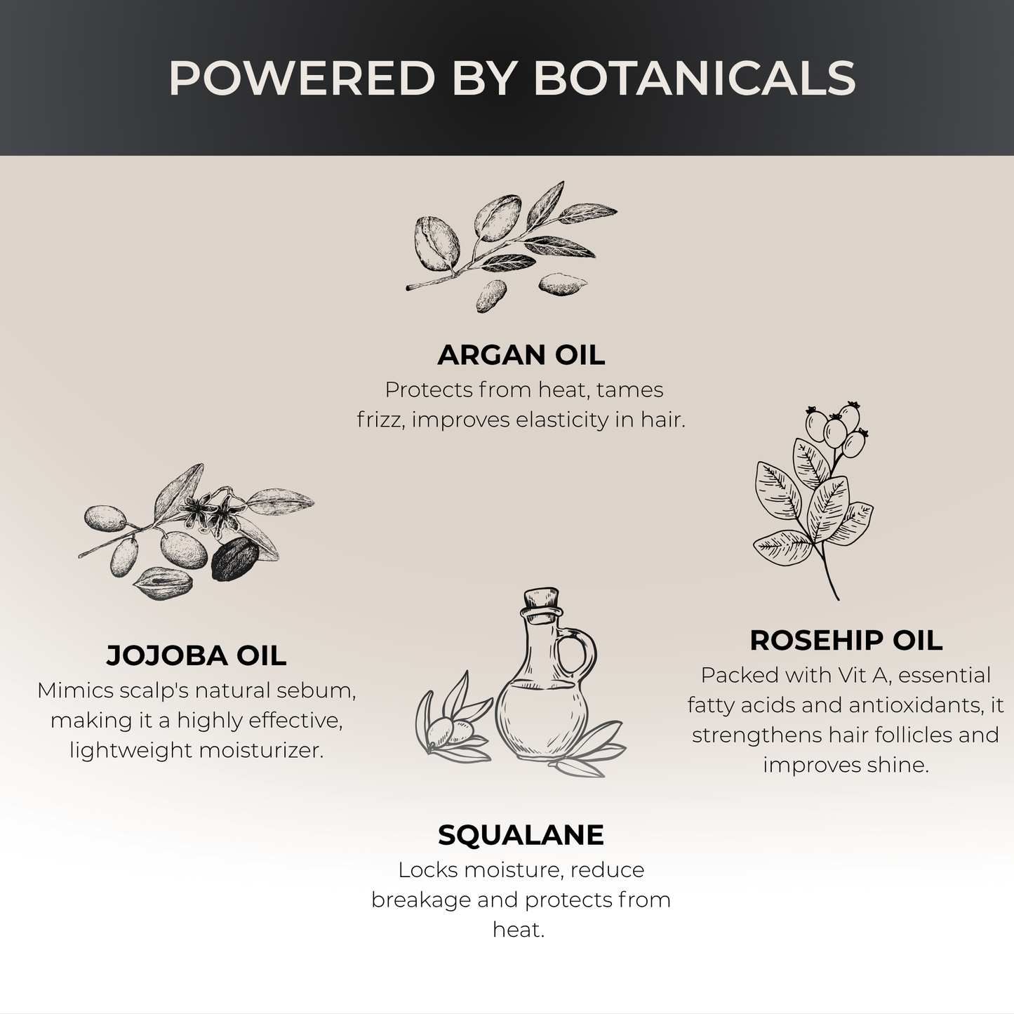 Moroccan Argan Oil Hair Serum