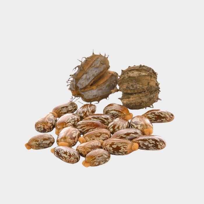 Castor Oil