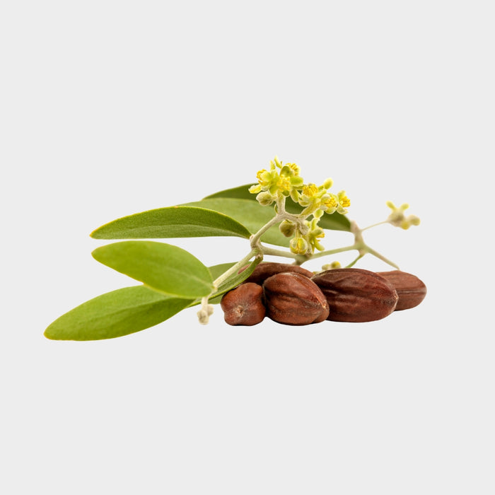 Jojoba Oil (Golden)