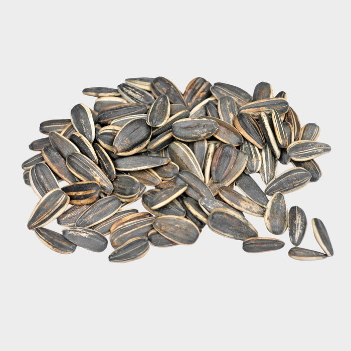 Sunflower Oil