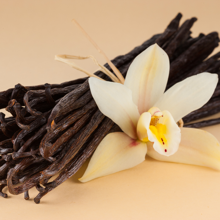 Vanilla Oil (High Vanilline)